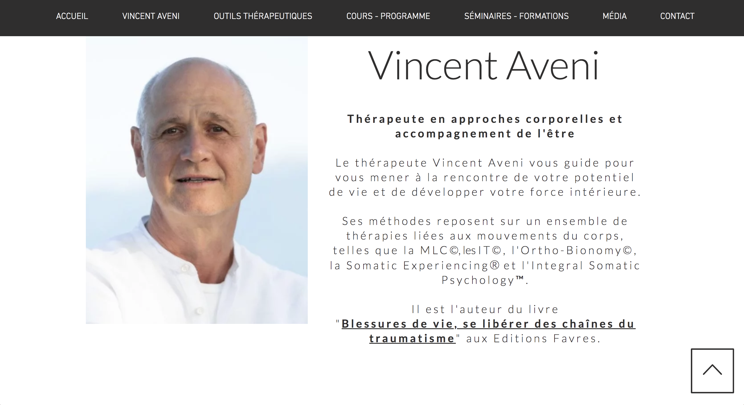 Vincent Aveni site